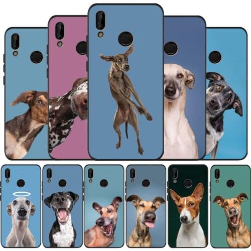 Cute funny dog Black Silicone Soft Phone Case For Huawei 40 30 20 10 9 Lite Pro P smart 2019 Y6 Y6 Prime2019 Y9 2018