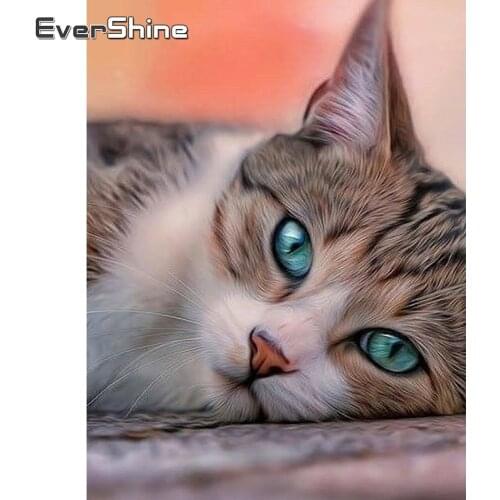 Evershine 5D DIY Diamond Embroidery Cat Rhinestone Art Full Square Diamond Painting Animal Home Decoration