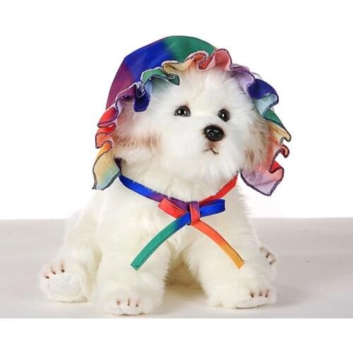 Pet Sunhat Lovely rainbow Outdoor Cap Fashion Dog Sun Hat Colorful Hat Sunhat Outdoor Cap Pet Cap Dog Sunscreen Accessories