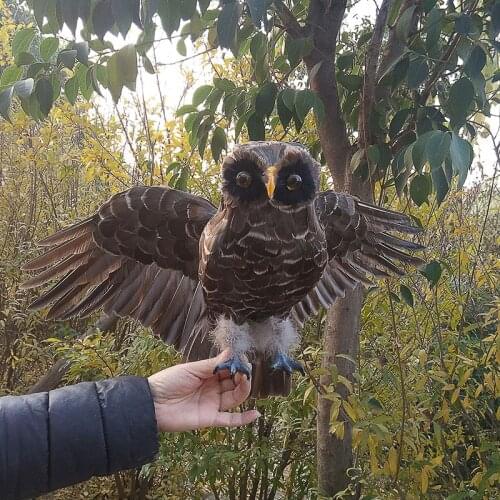Foam&feathers night owl model large 32x55cm spreading wings owl bird hard toy craft prop.home garden decoration Xmas gift w0658