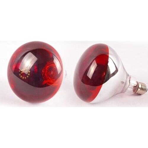 Товары для рептилий CMinYP China At AliExpress