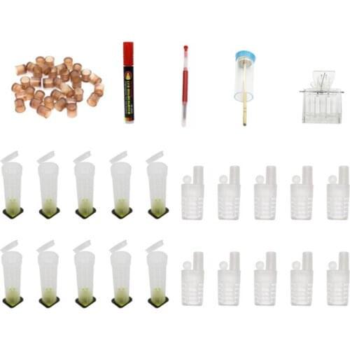Bees cells Cell cups cupkit cage Beekeeping Tools Queen Bee Cage Bee Marker Pen Brownish King Bee Queen Marking Cage 1 Sets