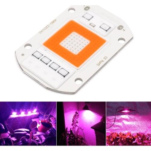 Cooleeon LED Floodlights
