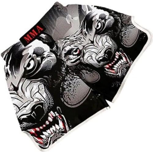 Summer New Shorts Mma Boxing Muay Thai Shorts Color Matching Printed Wushu Sanda Rashguard Mma Sport Boxing Trunks Kickboxing