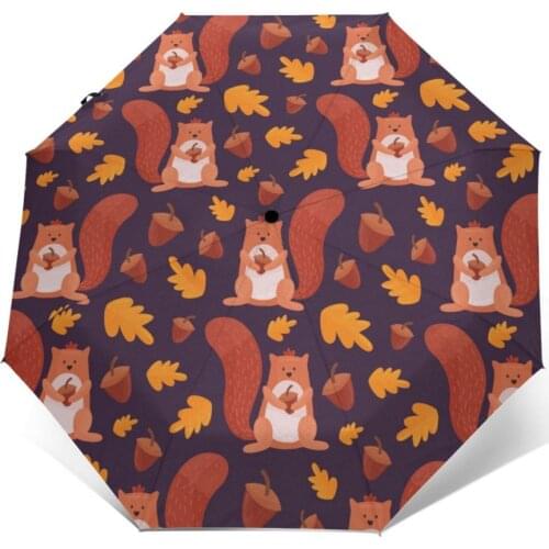 Sunny Umbrella Cute Squirrel Automatic folding portable men women umbrella Sunscreen rain Windproof beach parasol