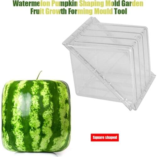 Square/Heart-shaped Watermelon Pumpkin Shaping Mold Garden Fruit Growth Forming Mould Tool Garden Shaping Mold