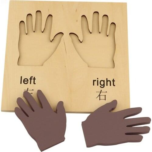 Montessori Sensorial Right And Left Hands Early Education Hand Eye Coordinate Know Right And Left Intelligence Development