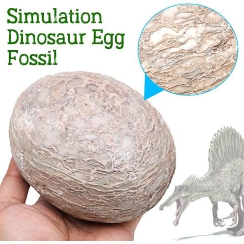 Segnosaur Dinosaur Egg Simulation Fossilized Fossil Teaching Specimen Room Decorations Gift