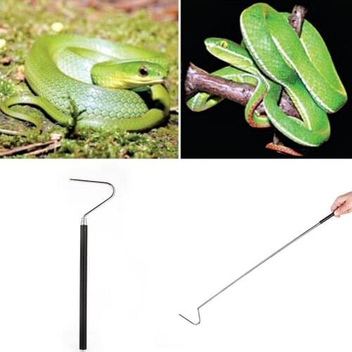 Pecute Reptile Products