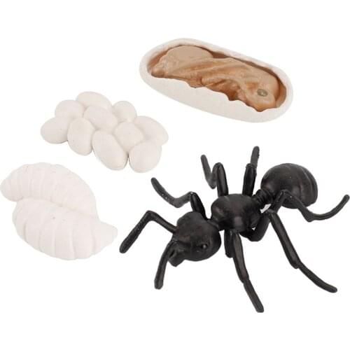 Early Kids Child Animals Insects Growth Cycle Figures Toy Playkit Gifts