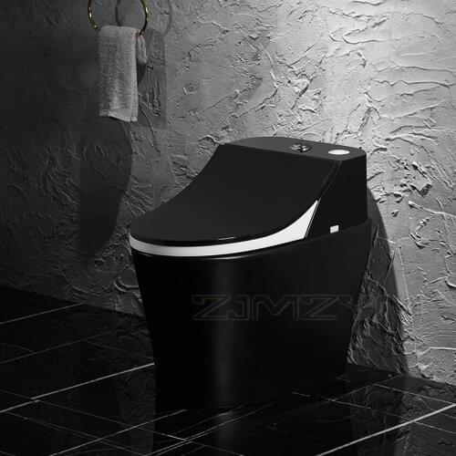Household Siphonic Pumping Toilet ABS Slow-down Cover Ceramic Integrated Intelligent Thermostatic Seat Black Personalized Toilet