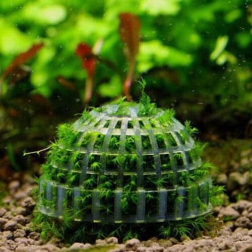 Natural Mineral Aquatic Bio Moss Ball Filter Mineral Balls Aquarium Crystal Red Shrimp House Fish Tank Decoration Supplies