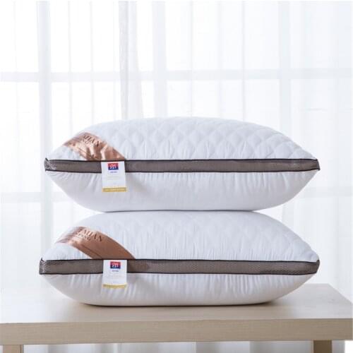 1 Pcs High Quality Hotel Standard Down Silk Pillow Washable Super 7 Star Pillow