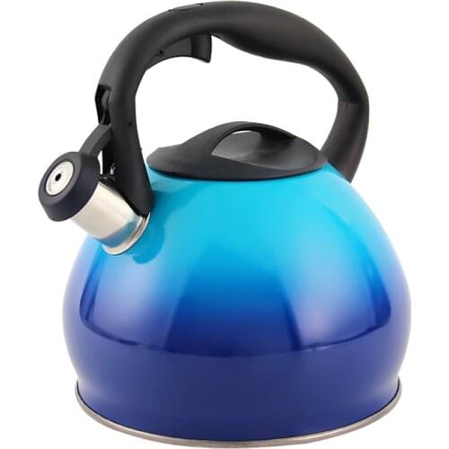 Hausroland Whistling Kettle Gradient Color Induction Teapot 3.0L GS-04048R
