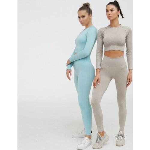Hot Sale Long Sleeve Track Suit Sports Tight Running Breathable Yoga Clothes Women Seamless Set