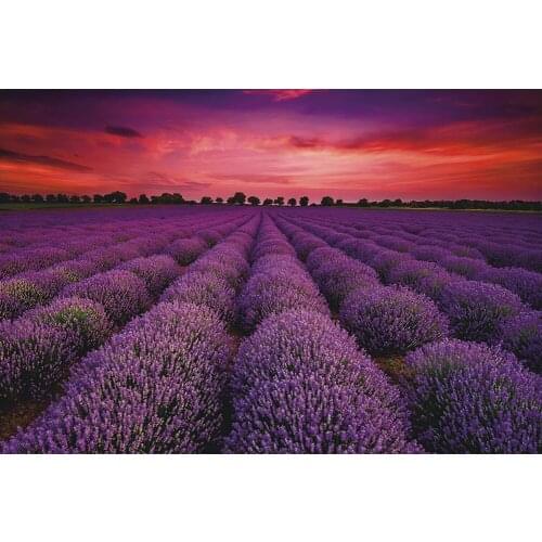 New Jigsaw Puzzles 1000 Pieces Paper Assembling Picture Landscape Puzzles Toys for Adults Childrens Games Educational Toy