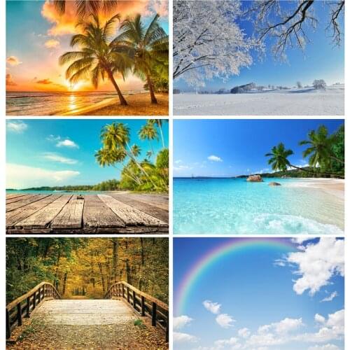 ZHISUXI Vinyl Custom Photography Backdrops Props Scenery Theme Photo Studio Background 210203TR-01