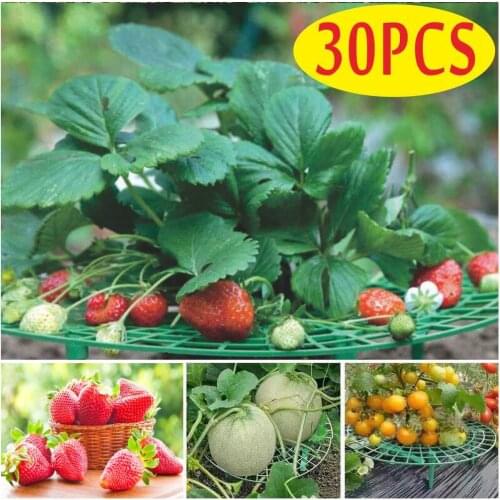 15/30 PCS Gardening Rack Strawberry Stand Frame Holder Balcony Planting Rack Fruit Support Flower Pillar Vegetable Climbing Vine