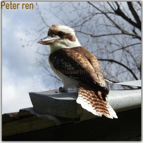 Peter ren DIY diamond painting 5d square rhinestone Diamond embroidery Bird sparrow Diamond mosaic Crafts full crafts Needlework