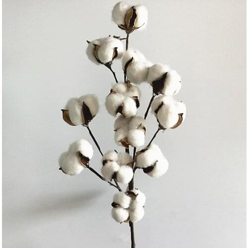1pc/lot Decorative Dried Cotton 12 Head White Artificial Cotton Flower Stem