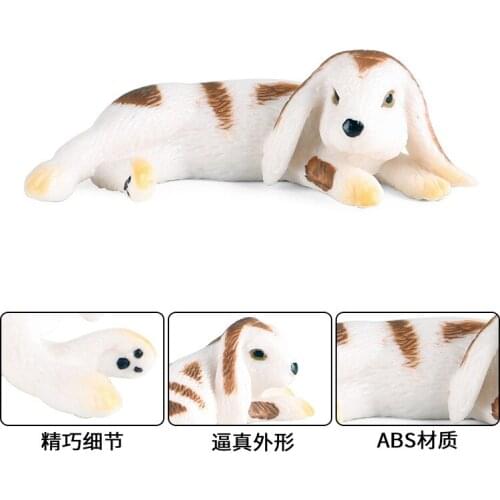 Science/education simulation children animal model toy ornaments rabbit Dutch rabbit lop-eared rabbit poultry rabbit British