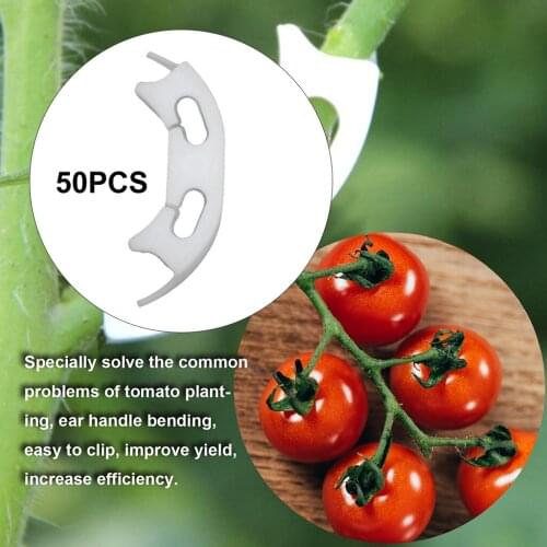 50pcs/lot Vegetables Tomato Fixing Clips to Prevent Bending Support Clamp Fruit Flower Green Plant Seedling Reinforcement Clip