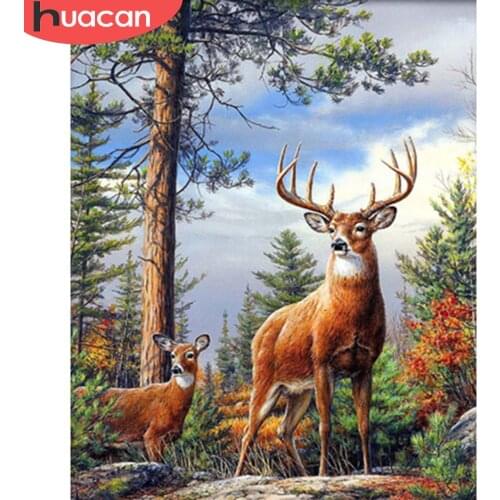 HUACAN Pictures By Number Deer Drawing Canvas Acrylic Gift Home Decor Coloring By Number Animal Handpainted Wall Art