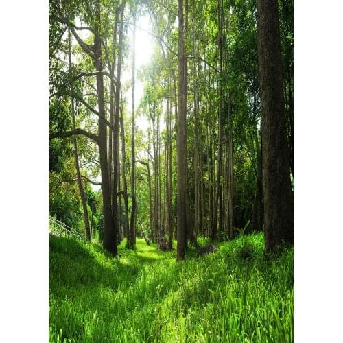 Forest Grassland Sunlight Photography Backdrop Custom Vinyl Fond Background Photo Studio for Portrait Children Baby Photophone