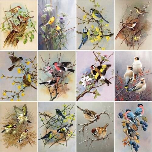 Evershine 5D Diamond Painting Birds Full Square Diamond Embroidery Sale Animal Pictures Of Rhinestones Mosaic Home Decoration