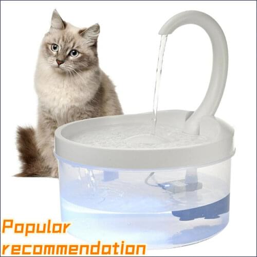 Миски для кошек MOONBIFFY China At AliExpress