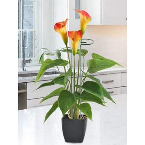 5Pcs Gardening Plant Potted Support Frame Connecting Pipe Climbing Vine Rack Flower Vegetables Decorative Trellis Bracket