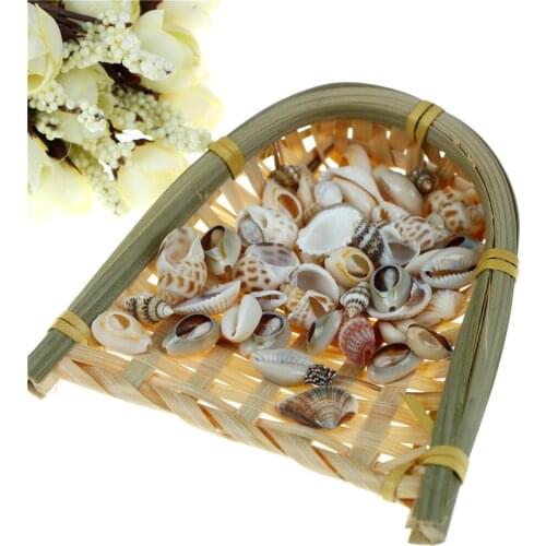 DIY Craft Sea Shell Aquarium Fish Tank Small Conch Natural Landscape Home Decor Random Style 1bag(30g)