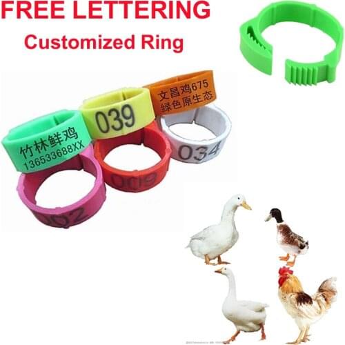 Chicken Foot Ring Inner Diameter 2~2 .4cm PoultryRetractable Foot Ring 6 Colors Private Customized Ring Chick Duck Goose poultry