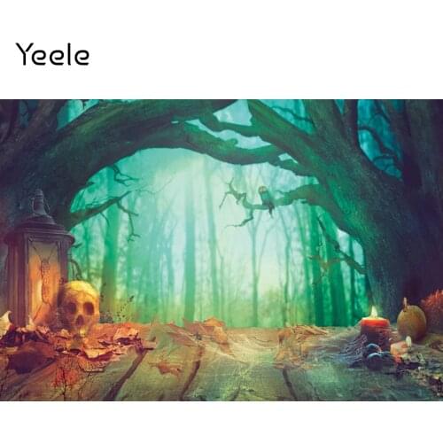 Yeele Halloween Photocall Backdrop Skull Spider Leaves Web Wooden Floor Background Baby Photographic Photography Photo Studio