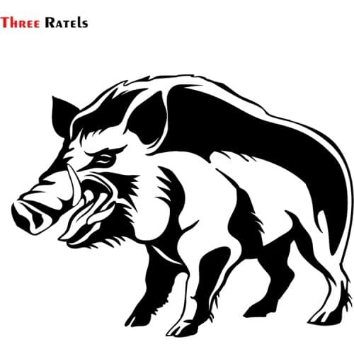 Three Ratels TZ-1453#15*19.9cm a wild boar car stickers funny auto sticker decals