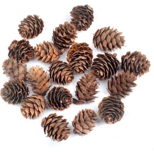 10pcs 3CM Natural Pine Nuts Fruit Artificial Simulation Wedding Party Decoration Family Garden Christmas Tree Accessories
