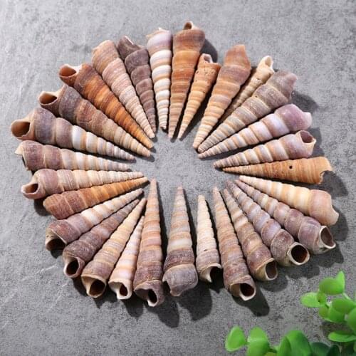 Natural Beautiful Sea Shell Conch Craft Aquarium Decor Ornament Accessories For Jewelry Making DIY Mayitr
