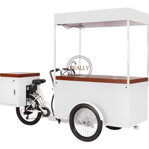 Adult Ice Cream Food Cart Electric Cargo Bike Street Freezer Tricycle with Solar Panel