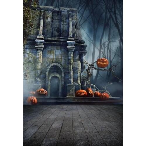 2020 Halloween photography backgrounds fabric Old castle kids photo backdrops for photo studio accessories photophone HA-249