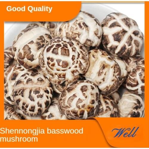 Dried Flower Linden Basswood Shiitake Mushrooms