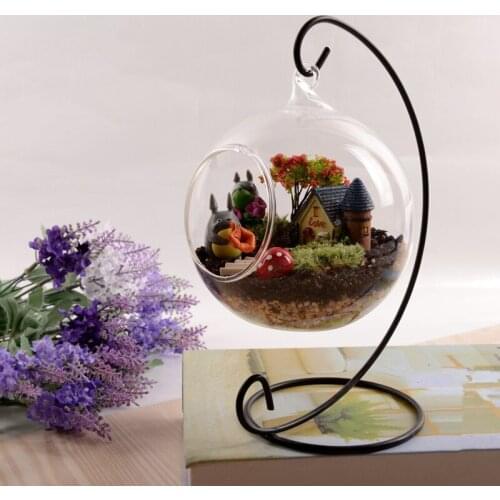 Diameter=12cm Glass Terrarium Vase Height=23cm Metal Stand Glass Home Decoration Transparent Water Plant Glass Terrarium
