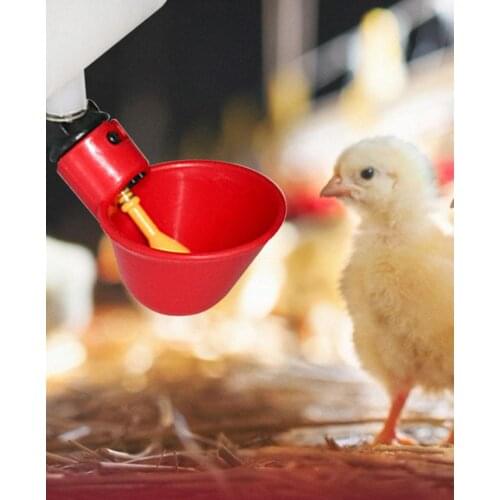 5PCS Automatic Plastic Chicken Drinker Cups Poultry Water Drinking Dispenser Water Drinker Tool for Bird Quail Pigeon Chicken