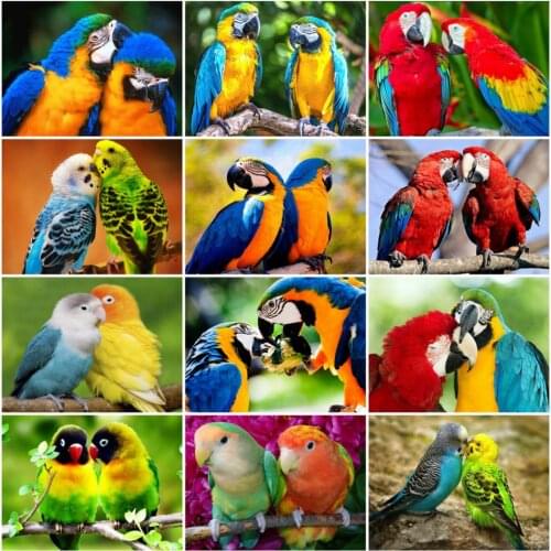14/18/22/25/28CT Only 11CT printing Parrot Cross Stitch Embroidery Bird Animal Picture Home Decor