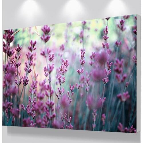 Modern Canvas Art Beautiful Purple Flower Wall Pictures For Living Room Modular Pictures Quadro Decor Frameless Dropship Prints