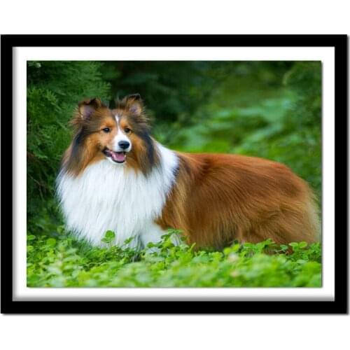 Full,Diamond Embroidery,Pomeranian,Dog,5D,diy Diamond Painting,Cross Stitch,3D,Diamond ,Needlework,Crafts,home decor,art