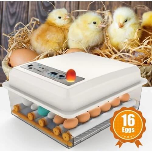220V Eggs Incubator Brooder Bird Quail Incubator Chick Hatchery Incubator Poultry Hatcher Turner Automatic Farm Incubation Tools