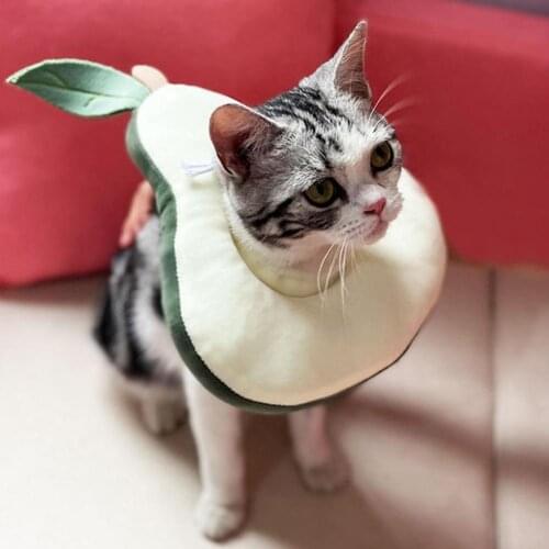 Cat E-Collar Recovery Cone Adjustable Neck Recover Kitten Cone Wear-resistant Soft Flexible Apple Shaped Cat Neck Cone for Home