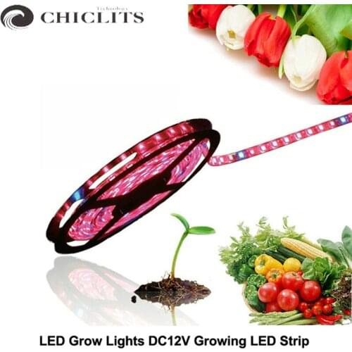 CHICLITS Technology LED Plant Lamps