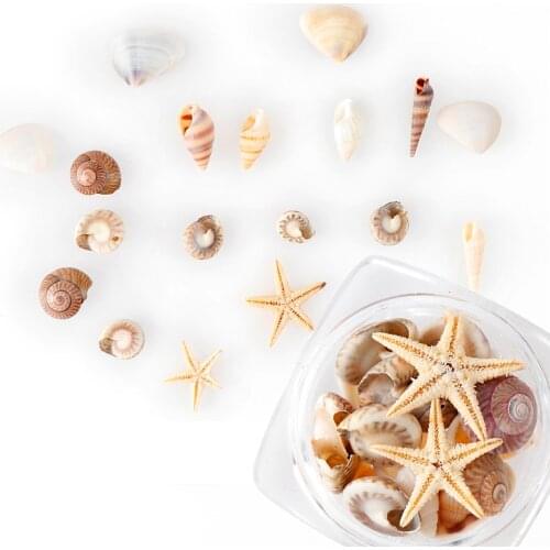 1/2/5 Box 3D Natural Nail Art Decoration Mini Conch Shells Starfish Sea Beach Ornaments Manicure Tools for DIY