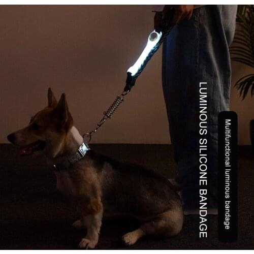 Pet LED Multi-function Traction Rope Luminous Collar Strap Dog Collars Leads LED Supplies Two CR2032 Button Batteries #2